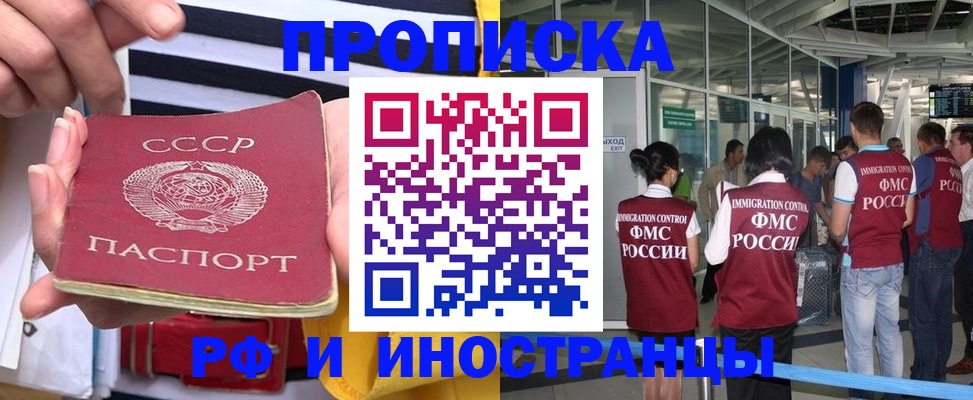 прописка 2025 в Мурино